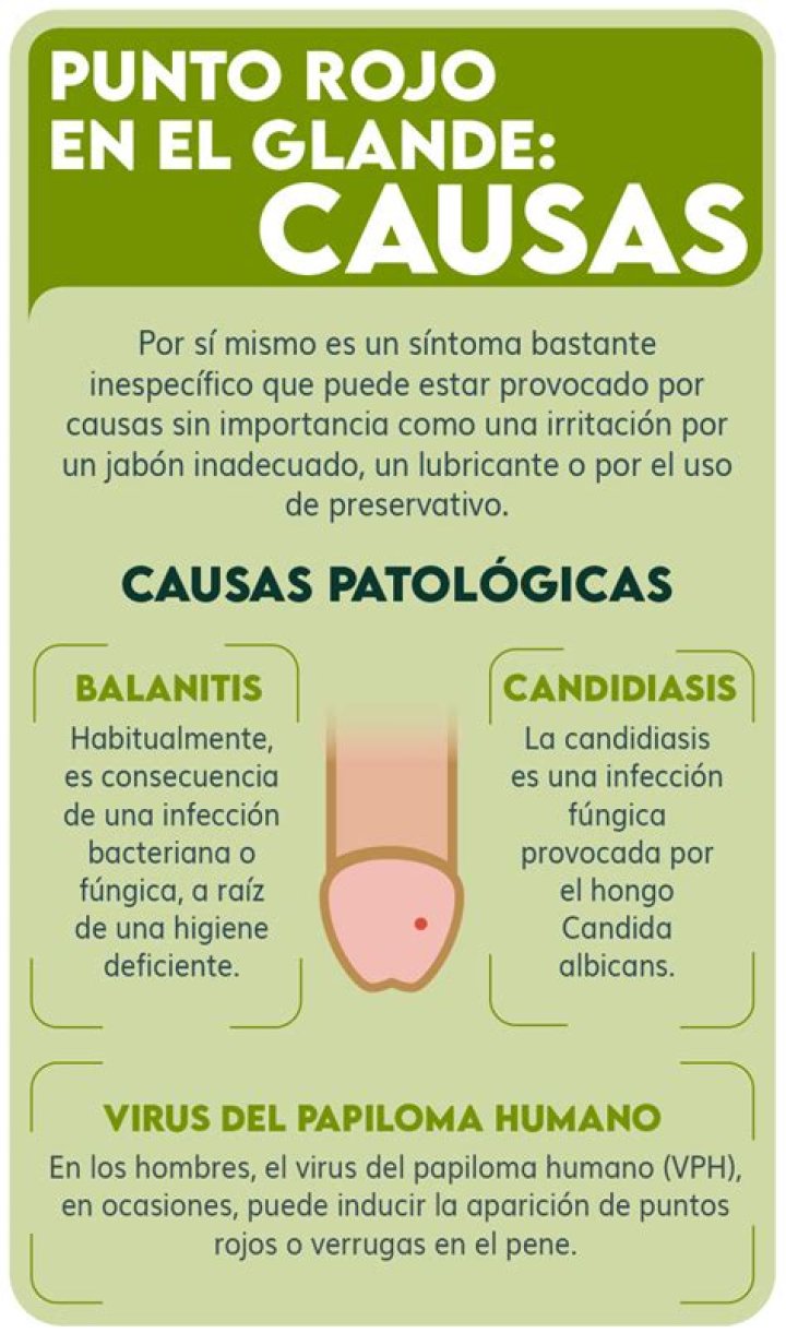 Glande ¿Qué es? ¿Enfermedades relacionadas?