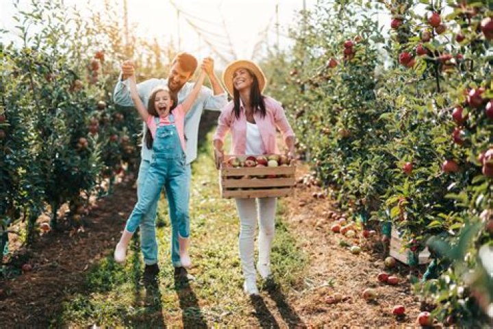It's Apple Picking Season! | Macaroni KID New River Valley