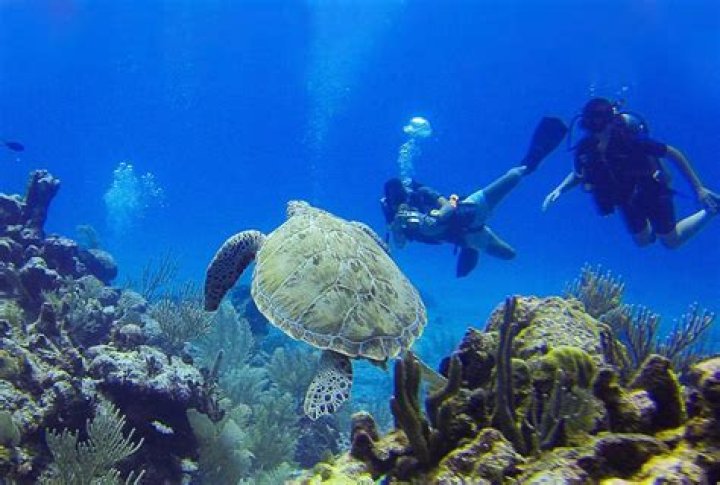 Zoology and Biology Degrees | School of Natural and Environmental Sciences